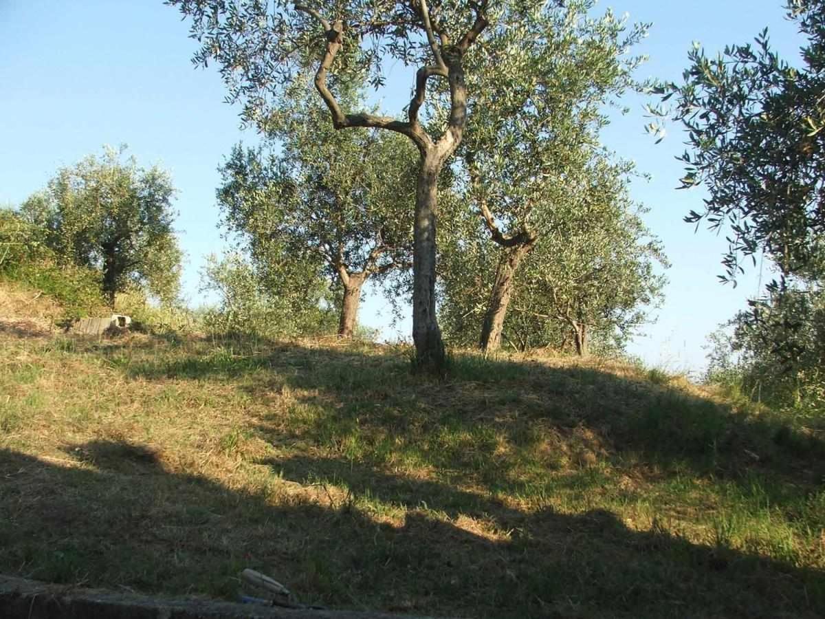 La Casetta Di Sofia Moneglia Exteriér fotografie